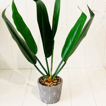 Load image into Gallery viewer, Liven up your indoor spaces with our Artificial Assorted Ferns in Grey Decorative Pot. Perfect for a windowsill display or adding a splash of green to a bathroom or bedroom, without the hassle of maintenance.| Bliss Gifts & Homewares | Unit 8, 259 Princes Hwy Ulladulla | South Coast NSW | Online Retail Gift & Homeware Shopping | 0427795959, 44541523