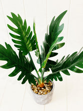 Load image into Gallery viewer, Liven up your indoor spaces with our Artificial Assorted Ferns in Grey Decorative Pot. Perfect for a windowsill display or adding a splash of green to a bathroom or bedroom, without the hassle of maintenance.| Bliss Gifts & Homewares | Unit 8, 259 Princes Hwy Ulladulla | South Coast NSW | Online Retail Gift & Homeware Shopping | 0427795959, 44541523
