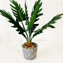 Load image into Gallery viewer, Liven up your indoor spaces with our Artificial Assorted Ferns in Grey Decorative Pot. Perfect for a windowsill display or adding a splash of green to a bathroom or bedroom, without the hassle of maintenance.| Bliss Gifts & Homewares | Unit 8, 259 Princes Hwy Ulladulla | South Coast NSW | Online Retail Gift & Homeware Shopping | 0427795959, 44541523