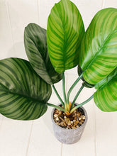 Load image into Gallery viewer, Liven up your indoor spaces with our Artificial Assorted Ferns in Grey Decorative Pot. Perfect for a windowsill display or adding a splash of green to a bathroom or bedroom, without the hassle of maintenance.| Bliss Gifts & Homewares | Unit 8, 259 Princes Hwy Ulladulla | South Coast NSW | Online Retail Gift & Homeware Shopping | 0427795959, 44541523