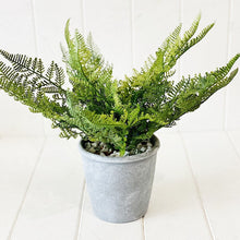 Load image into Gallery viewer, Liven up your indoor spaces with our Artificial Fern in Cement Pot. With its cement pot, it will add texture and colour to any room. Great for adding a splash of colour to a bathroom or windowsill.| Bliss Gifts & Homewares | Unit 8, 259 Princes Hwy Ulladulla | South Coast NSW | Online Retail Gift & Homeware Shopping | 0427795959, 44541523