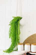 Load image into Gallery viewer, Liven up your indoor spaces with our Artificial Hanging Greenery in large. Perfect for adding a splash of green to a bathroom or bedroom, without the hassle of maintenance. Approx: 100cm.| Bliss Gifts & Homewares | Unit 8, 259 Princes Hwy Ulladulla | South Coast NSW | Online Retail Gift & Homeware Shopping | 0427795959, 44541523