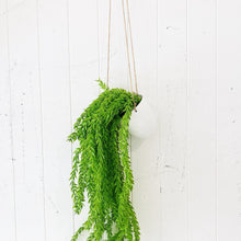 Load image into Gallery viewer, Liven up your indoor spaces with our Artificial Hanging Greenery in large. Perfect for adding a splash of green to a bathroom or bedroom, without the hassle of maintenance. Approx: 100cm.| Bliss Gifts & Homewares | Unit 8, 259 Princes Hwy Ulladulla | South Coast NSW | Online Retail Gift & Homeware Shopping | 0427795959, 44541523
