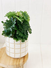 Load image into Gallery viewer, Liven up your indoor spaces with our Artificial Monstera & Philodendron in cement look Pot. Perfect for a windowsill display or adding a splash of green to a bathroom or bedroom, without the hassle of maintenance. Approx: 25cm.| Bliss Gifts & Homewares | Unit 8, 259 Princes Hwy Ulladulla | South Coast NSW | Online Retail Gift & Homeware Shopping | 0427795959, 44541523