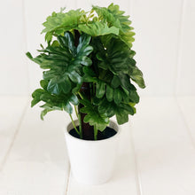 Load image into Gallery viewer, Liven up your indoor spaces with our Artificial Monstera & Philodendron in cement look Pot. Perfect for a windowsill display or adding a splash of green to a bathroom or bedroom, without the hassle of maintenance. Approx: 25cm.| Bliss Gifts & Homewares | Unit 8, 259 Princes Hwy Ulladulla | South Coast NSW | Online Retail Gift & Homeware Shopping | 0427795959, 44541523
