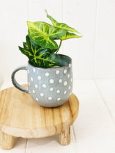 Load image into Gallery viewer, Liven up your indoor spaces with our Artificial Taro & Lotus in White Pot. Perfect for a windowsill display or adding a splash of green to a bathroom or bedroom, without the hassle of maintenance. Approx: 15cm.| Bliss Gifts & Homewares | Unit 8, 259 Princes Hwy Ulladulla | South Coast NSW | Online Retail Gift & Homeware Shopping | 0427795959, 44541523