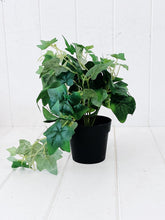 Load image into Gallery viewer, Liven up your indoor spaces with our Artificial Trailing Greenery in Pot. They cascade over an edge or tumble from the pot in a hanging basket, softening hard edges and adding colour and texture. Approx: 38cm.| Bliss Gifts & Homewares | Unit 8, 259 Princes Hwy Ulladulla | South Coast NSW | Online Retail Gift & Homeware Shopping | 0427795959, 44541523