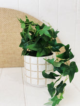 Load image into Gallery viewer, Liven up your indoor spaces with our Artificial Trailing Greenery in Pot. They cascade over an edge or tumble from the pot in a hanging basket, softening hard edges and adding colour and texture. Approx: 38cm.| Bliss Gifts & Homewares | Unit 8, 259 Princes Hwy Ulladulla | South Coast NSW | Online Retail Gift & Homeware Shopping | 0427795959, 44541523