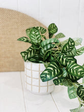 Load image into Gallery viewer, Liven up your indoor spaces with our Artificial Trailing Greenery in Pot. They cascade over an edge or tumble from the pot in a hanging basket, softening hard edges and adding colour and texture. Approx: 38cm.| Bliss Gifts & Homewares | Unit 8, 259 Princes Hwy Ulladulla | South Coast NSW | Online Retail Gift & Homeware Shopping | 0427795959, 44541523