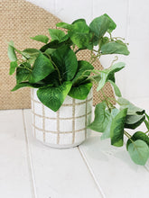 Load image into Gallery viewer, Liven up your indoor spaces with our Artificial Trailing Greenery in Pot. They cascade over an edge or tumble from the pot in a hanging basket, softening hard edges and adding colour and texture. Approx: 38cm.| Bliss Gifts & Homewares | Unit 8, 259 Princes Hwy Ulladulla | South Coast NSW | Online Retail Gift & Homeware Shopping | 0427795959, 44541523