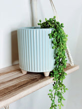 Load image into Gallery viewer, Display your favourite floral accents with our beautiful Fraser Ceramic Pot with Feet. The soft tone will suit any decor, while the ribbed pattern adds texture to any space. 13.5 x 14.3cm.| Bliss Gifts & Homewares | Unit 8, 259 Princes Hwy Ulladulla | South Coast NSW | Online Retail Gift & Homeware Shopping | 0427795959, 44541523