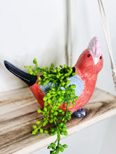 Load image into Gallery viewer, Add some fun to your garden with our Glenda Galah Ceramic Pot. This gorgeous pot is fun, colourful and a great addition to any home or garden. Features: 19.8x10x14.5cm.| Bliss Gifts & Homewares | Unit 8, 259 Princes Hwy Ulladulla | South Coast NSW | Online Retail Gift & Homeware Shopping | 0427795959, 44541523