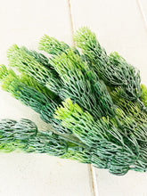 Load image into Gallery viewer, Beautiful life like greenery that are sure to add life to your space, with the added benefit of being easy to maintain. Liven up your indoor spaces with our Grass Bush Stem. Perfect for adding to a vase or wall arrangement, it will add texture and colour. Approx 36cm long.| Bliss Gifts & Homewares | Unit 8, 259 Princes Hwy Ulladulla | South Coast NSW | Online Retail Gift & Homeware Shopping | 0427795959, 44541523