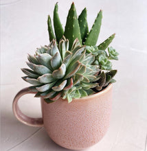 Load image into Gallery viewer, Enjoy the daily ritual of drinking tea and coffee with your own stoneware NAOKO Mug in Salmon 380ml| Bliss Gifts & Homewares | Unit 8, 259 Princes Hwy Ulladulla | South Coast NSW | Online Retail Gift & Homeware Shopping | 0427795959, 44541523