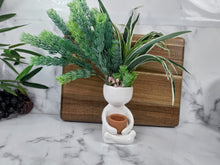 Load image into Gallery viewer, Iconic David Sculpture Head Pot