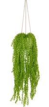 Load image into Gallery viewer, Liven up your indoor spaces with our Artificial Hanging Greenery in large. Perfect for adding a splash of green to a bathroom or bedroom, without the hassle of maintenance. Approx: 100cm.| Bliss Gifts & Homewares | Unit 8, 259 Princes Hwy Ulladulla | South Coast NSW | Online Retail Gift & Homeware Shopping | 0427795959, 44541523