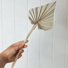 Load image into Gallery viewer, Our Single Spade Natural Dried Palms are an awesome addition to any space or to create a dramatic dried arrangement. Perfect for any home decor, especially boho and coastal, bringing an earthy vibe into your home or office. Approx size: 12x40cm.| Bliss Gifts & Homewares | Unit 8, 259 Princes Hwy Ulladulla | South Coast NSW | Online Retail Gift & Homeware Shopping | 0427795959, 44541523
