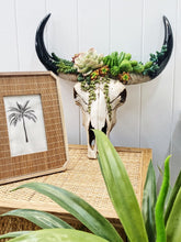 Load image into Gallery viewer, Our Succulent Cow Skull has a 3 dimensional pattern to give depth. This realistic looking sculpture is lightweight and easily wall mounted. It comes ready to hang with screws and drilling template.| Bliss Gifts & Homewares | Unit 8, 259 Princes Hwy Ulladulla | South Coast NSW | Online Retail Gift & Homeware Shopping | 0427795959, 44541523