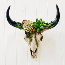 Load image into Gallery viewer, Our Succulent Cow Skull has a 3 dimensional pattern to give depth. This realistic looking sculpture is lightweight and easily wall mounted. It comes ready to hang with screws and drilling template.| Bliss Gifts & Homewares | Unit 8, 259 Princes Hwy Ulladulla | South Coast NSW | Online Retail Gift & Homeware Shopping | 0427795959, 44541523