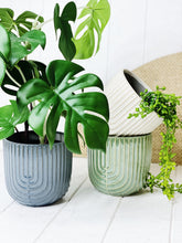 Load image into Gallery viewer, Our charming Sundae Ripple Ceramic Pot has a subtle crackle glaze that perfectly contrasts its textured body and rim. Ideal for displaying small plants and flowers with a drainage hold and plug or use as decorative storage. 13.6 x 12.8cm| Bliss Gifts & Homewares | Unit 8, 259 Princes Hwy Ulladulla | South Coast NSW | Online Retail Gift & Homeware Shopping | 0427795959, 44541523