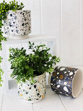 Load image into Gallery viewer, Showcase your favourite plants, succulents, and flowers with the beautiful and unique Terrazzo Pots in Small. Approx size: 10x10x10cm. Ceramic. Drainage hole and plug for your convenience.| Bliss Gifts & Homewares | Unit 8, 259 Princes Hwy Ulladulla | South Coast NSW | Online Retail Gift & Homeware Shopping | 0427795959, 44541523