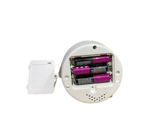 Load image into Gallery viewer, Dreamy Light & Lullaby Toy