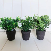 Load image into Gallery viewer, Our artificial potted greenery is perfect for adding some colour to your shelves, or hard to grow places. Pair with one of our many styles of pots and create a windowsill garden without the hassle of maintenance. 19cm.| Bliss Gifts & Homewares | Unit 8, 259 Princes Hwy Ulladulla | South Coast NSW | Online Retail Gift & Homeware Shopping | 0427795959, 44541523