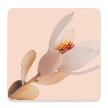 Load image into Gallery viewer, Our Flourish Ceramic Coaster - Pink Flower is inspired by the beauty of nature. The Flourish Homewares Range features budding blossoms, wild flowers, and soft, natural textures that tie beautifully into any home.| Bliss Gifts & Homewares | Unit 8, 259 Princes Hwy Ulladulla | South Coast NSW | Online Retail Gift & Homeware Shopping | 0427795959, 44541523