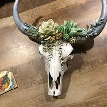 Load image into Gallery viewer, Rustic skull and antler wall decor for a cabin