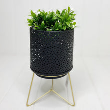 Load image into Gallery viewer, The Nadi Lantern/Planter in Black has gold accents that give it a modern appeal and makes it ideal for any space you'd like. The perfect size for holding pillar candles or displaying other decorations, such as plants or otherwise.| Bliss Gifts & Homewares | Unit 8, 259 Princes Hwy Ulladulla | South Coast NSW | Online Retail Gift & Homeware Shopping | 0427795959, 44541523