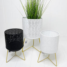 Load image into Gallery viewer, The Nadi Lantern/Planter in Black has gold accents that give it a modern appeal and makes it ideal for any space you'd like. The perfect size for holding pillar candles or displaying other decorations, such as plants or otherwise.| Bliss Gifts & Homewares | Unit 8, 259 Princes Hwy Ulladulla | South Coast NSW | Online Retail Gift & Homeware Shopping | 0427795959, 44541523