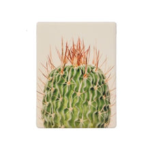 Load image into Gallery viewer, The Natural Oasis “Spiky Ceramic Magnet” is the perfect way to show you care. This magnet is the sweetest gift as a small token of appreciation. 6.2cm x 8.2cm. Spike cactus. Shop online. AfterPay available. Australia wide Shipping | Bliss Gifts & Homewares - Unit 8, 259 Princes Hwy Ulladulla - 0427795959, 44541523