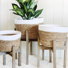 Load image into Gallery viewer, Create a relaxed and inviting feel to your home with our gorgeous Nirvana Planters. Made from natural fibres, with a woven rope design, and a white on natural finish | Bliss Gifts & Homewares | Unit 8, 259 Princes Hwy Ulladulla | South Coast NSW | Online Retail Gift & Homeware Shopping | 0427795959, 44541523