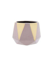 Load image into Gallery viewer, Pink Planter Pot Australia