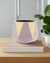 Load image into Gallery viewer, Minimalist Pink Indoor Planter
