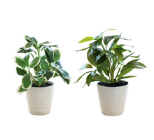 Load image into Gallery viewer, Artificial Green Leaf Pot - 28 cm