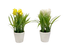 Load image into Gallery viewer, Elegant Artificial Flowering Plant in Plastic Pot – 23cm