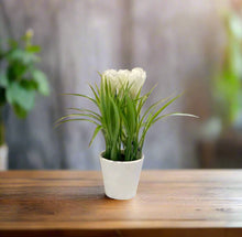 Load image into Gallery viewer, Elegant Artificial Flowering Plant in Plastic Pot – 23cm