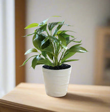 Load image into Gallery viewer, Artificial Green Leaf Pot - 28 cm