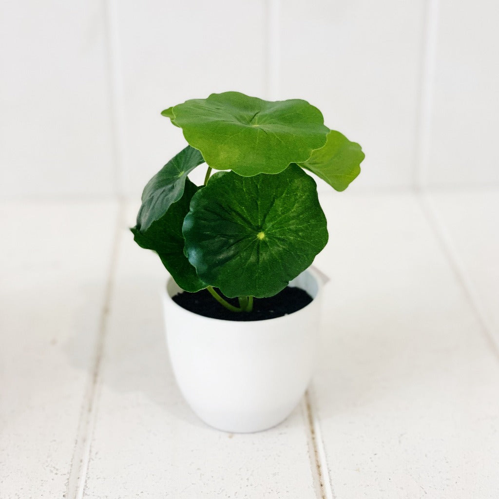 Artificial Taro & Lotus in White Pot – GADGET FREAK