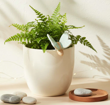 Load image into Gallery viewer, Butterfly Hanging Planter Sitter