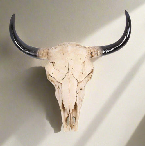 Cow Skull Wall Hanger-30cm