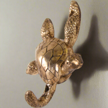 Load image into Gallery viewer, Turtle Brass Wall Hook