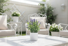 Load image into Gallery viewer, Artificial Lavender Plant in White Pot