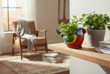 Load image into Gallery viewer, Lorikeet Pot Planter