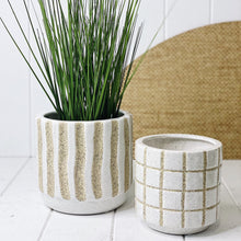 Load image into Gallery viewer, Give your vibrant and colourful potted plants and flowers and incredibly stylish home in our Ivory Pots. Our Ivory pots come in two different styles, stripe and square.| Bliss Gifts &amp; Homewares | Unit 8, 259 Princes Hwy Ulladulla | South Coast NSW | Online Retail Gift &amp; Homeware Shopping | 0427795959, 44541523