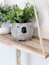Load image into Gallery viewer, Add some fun to your garden with our Kai Koala Ceramic Pot. This gorgeous pot is fun, colourful and a great addition to any home or garden. 17.5x14.2x12cm. Ceramic, drainage hole and plug. | Bliss Gifts &amp; Homewares | Unit 8, 259 Princes Hwy Ulladulla | South Coast NSW | Online Retail Gift &amp; Homeware Shopping | 0427795959, 44541523.