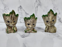 Load image into Gallery viewer, Groot plant Pot Large