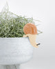 Snail Hanging Planter Sitter