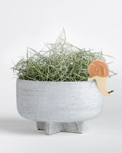 Load image into Gallery viewer, Snail Hanging Planter Sitter